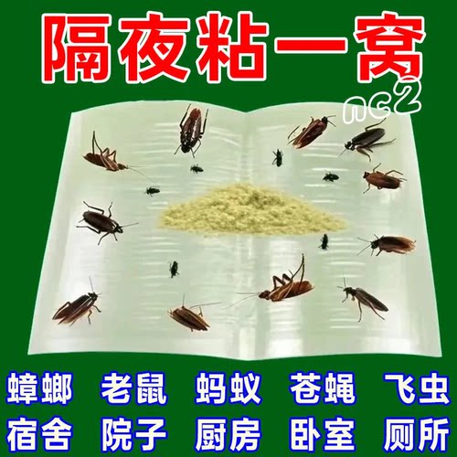 粘虫板家用蟑螂粘板蟑螂贴厨房餐厅室内全窝端蟑螂贴粘板蟑螂屋