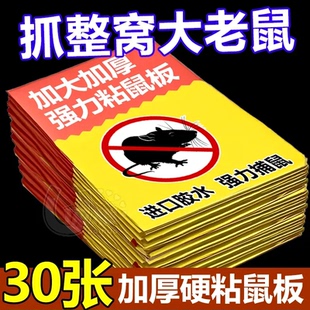 家用强力胶抓杀大老鼠老鼠板驱鼠器 粘鼠板强力粘鼠纸老鼠贴新款