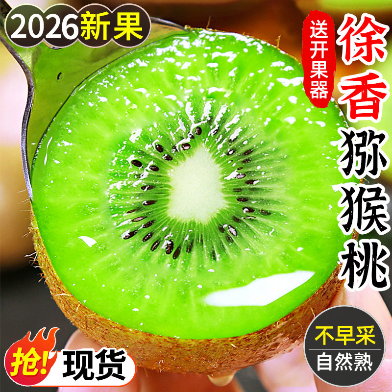陕西眉县徐香应季大果弥猴桃