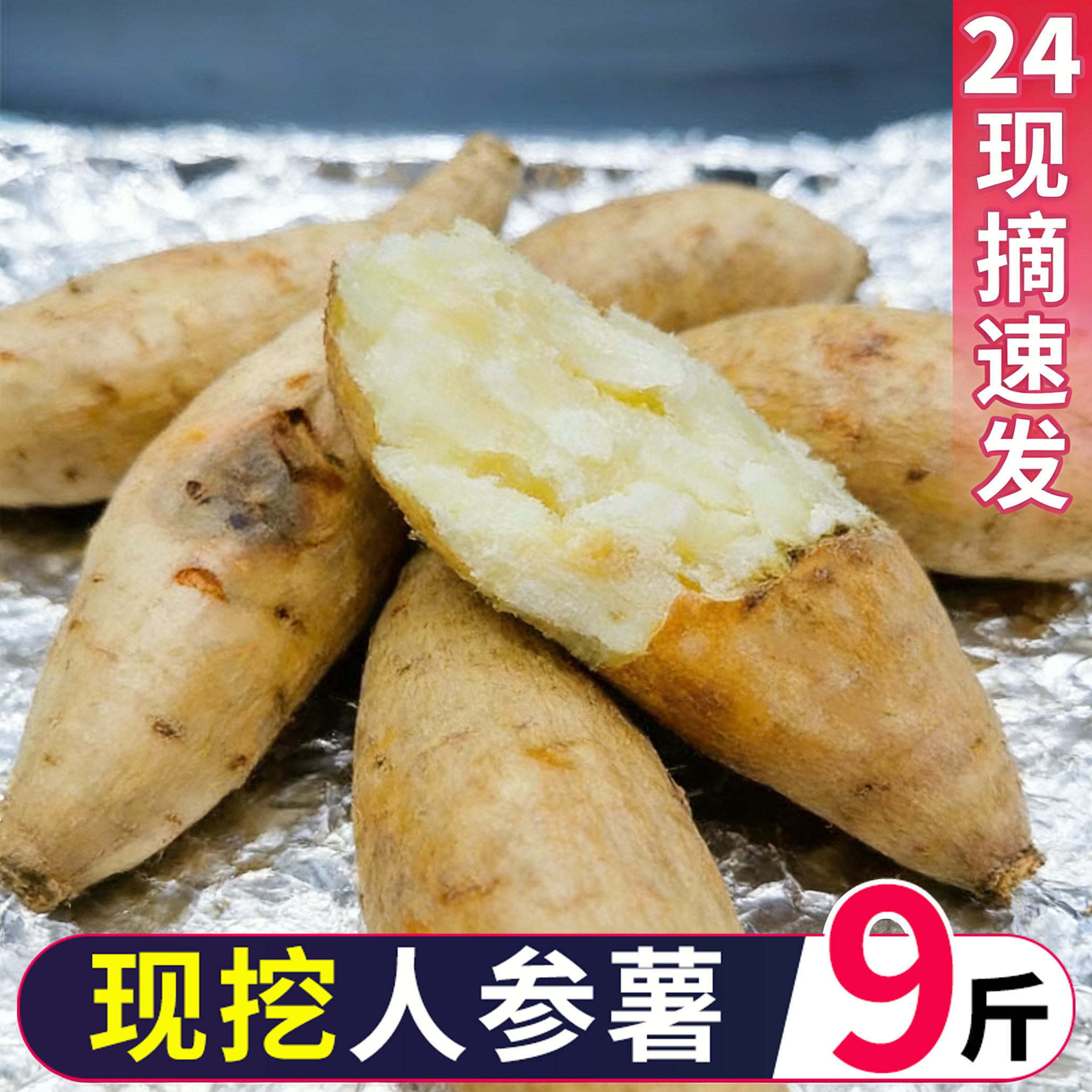 正宗人参白皮薯现挖白芯地瓜红薯牛奶人生薯新鲜白薯白心板栗番薯