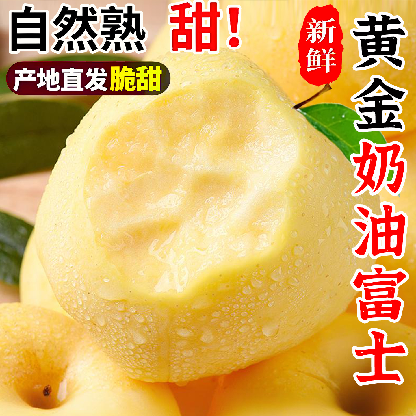 山东烟台奶油富士苹果脆甜现摘
