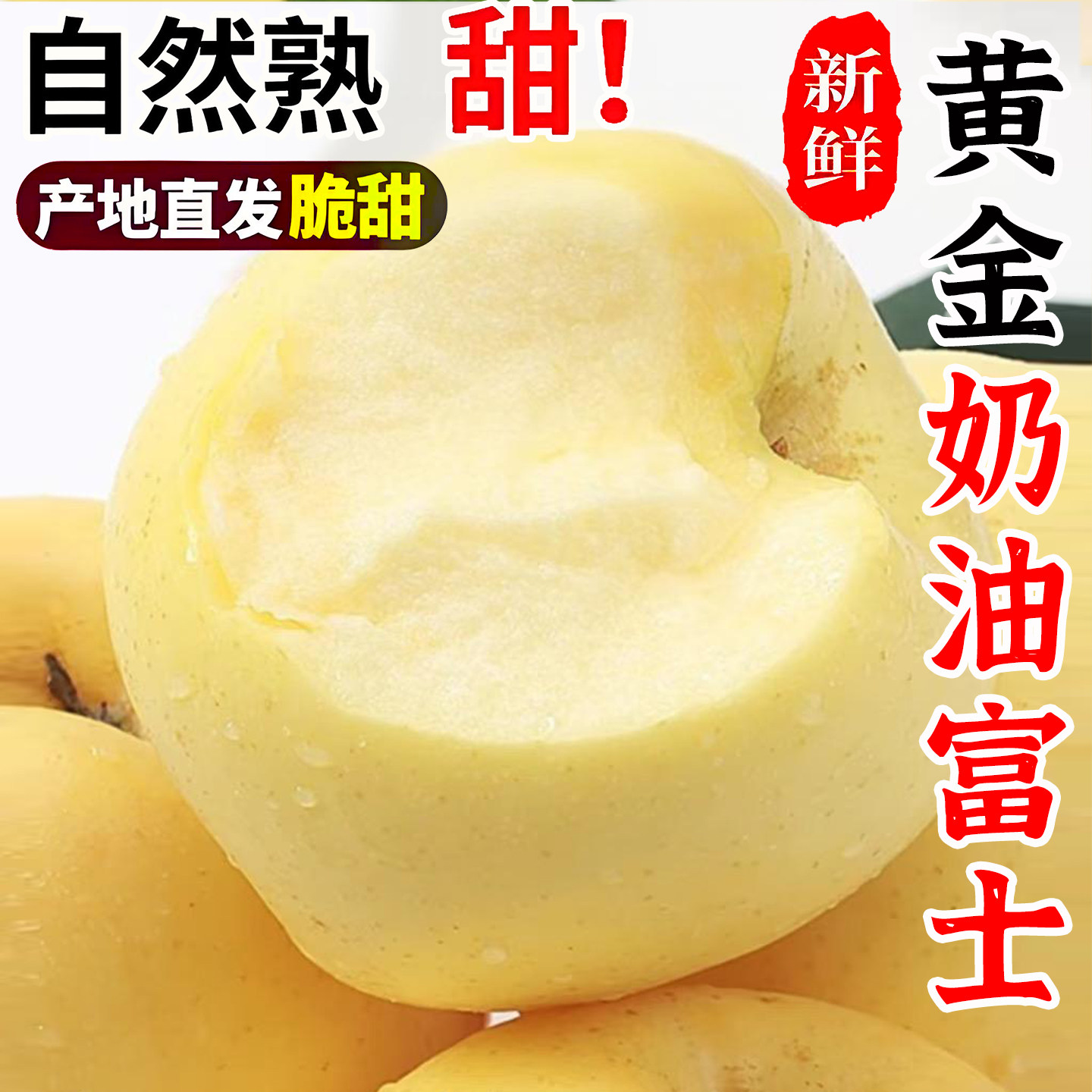 山东烟台奶油富士苹果脆甜现摘