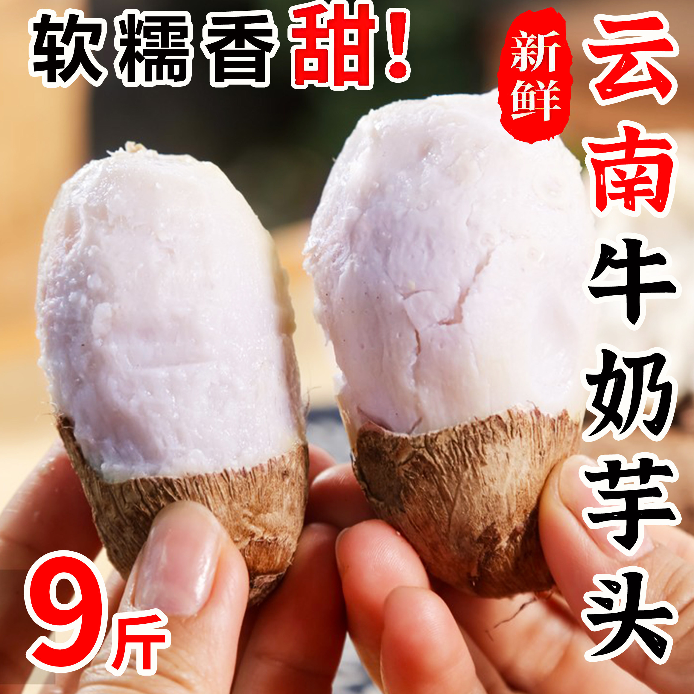 云南牛奶芋头新鲜现挖小毛软糯香