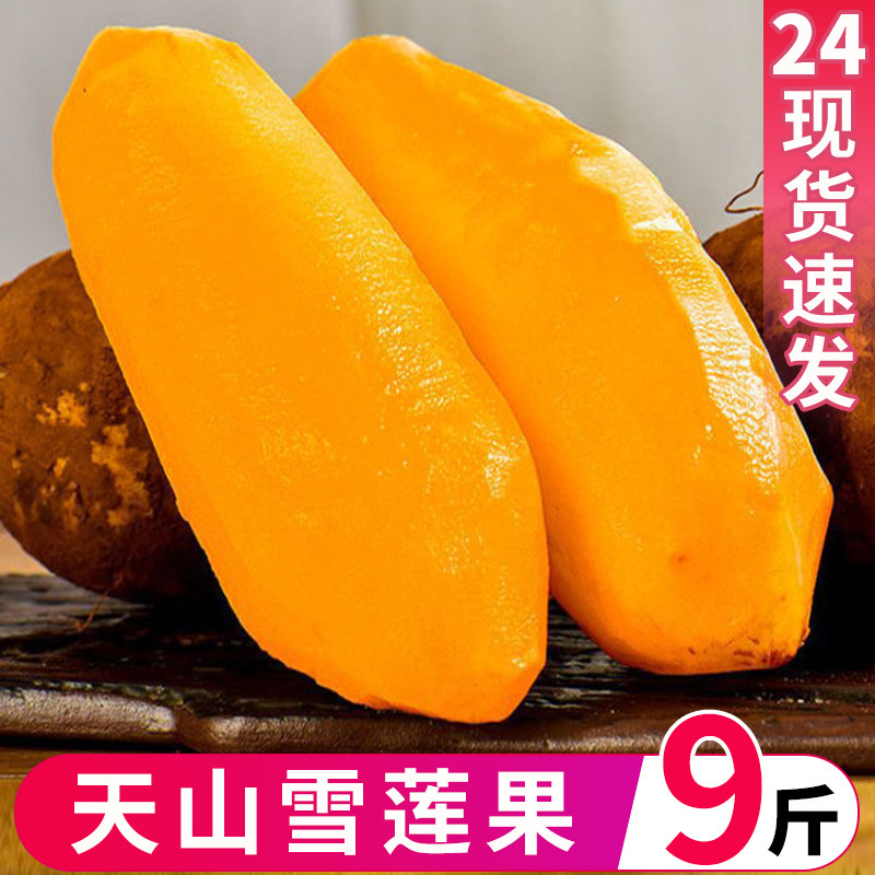 天山雪莲果新鲜大果9斤应当季孕妇水果特级红心云南雪连果一整箱,水产肉类/新鲜蔬果/熟食,雪莲果,淘宝优惠券,粉丝福利购,淘宝优惠卷