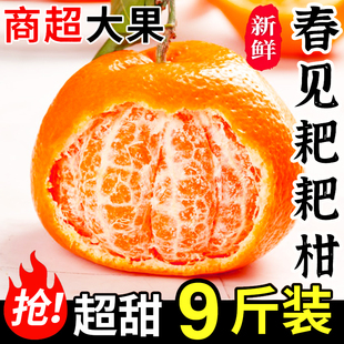 四川春见耙耙柑当季新鲜眉山粑粑柑孕妇水果丑柑柑橘9斤整箱包邮