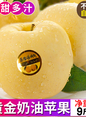 山东黄金奶油富士苹果烟台栖霞白色冰糖心新鲜水果牛奶9当季整箱