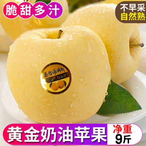 黄金奶油富士苹果烟台栖霞白色
