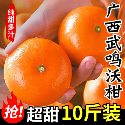 一级当季广西武鸣沃柑喜思农场