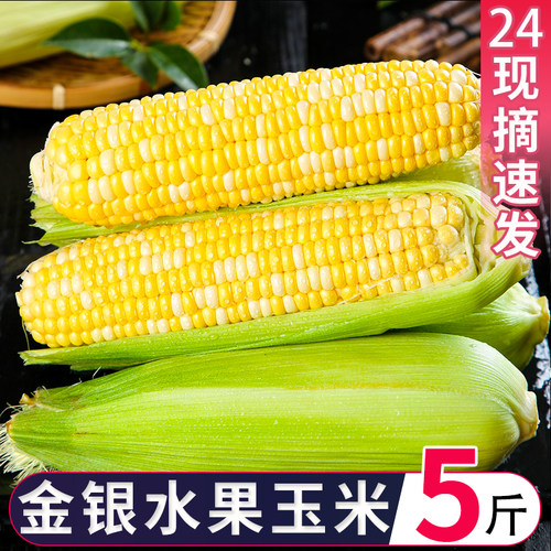 云南金银水果玉米新鲜生吃甜糯