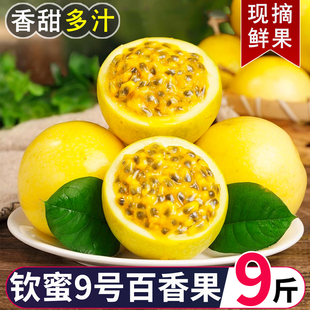 广西钦蜜9号黄金百香果10新鲜水果当季5斤百香果包邮大原果浆整箱