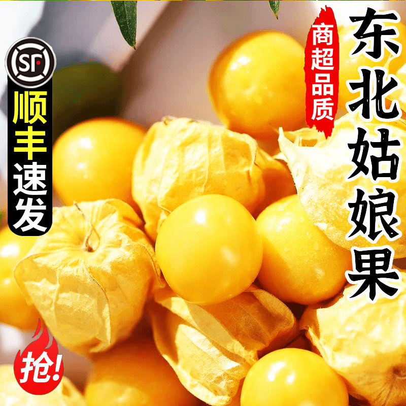 东北姑娘果5斤当季新鲜现摘
