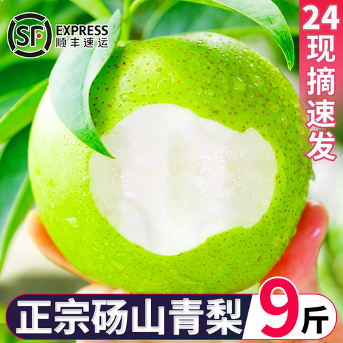 正宗砀山青梨新鲜梨子水果冠梨雪