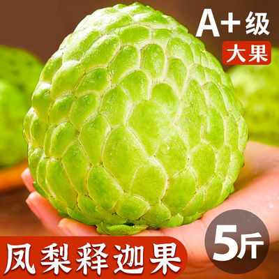 番荔枝新鲜凤梨果摩尼果