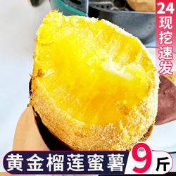正宗榴莲蜜薯沙地现挖红薯新鲜9斤黄金蜜薯地瓜香甜板栗红薯整箱5