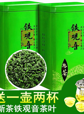 新茶铁观音250g亏本试喝