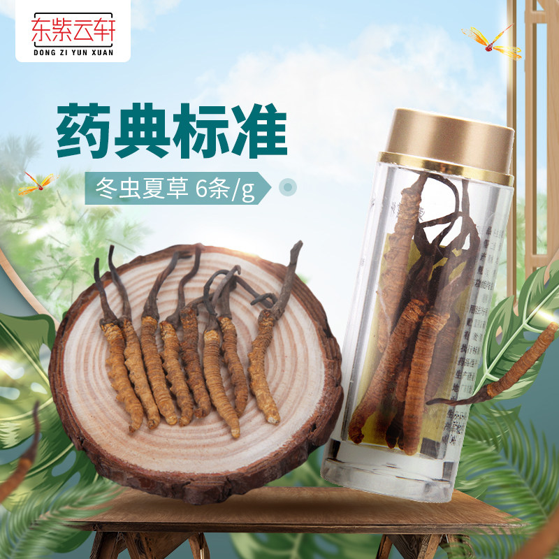 东紫云轩冬虫夏草 1g/瓶 5-6条/g青海虫草养生滋补官方旗舰店正品