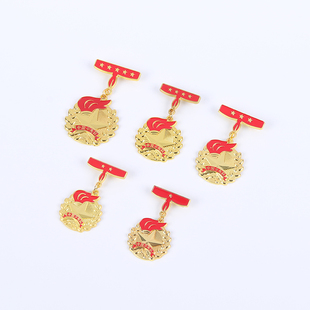 少先队红领巾奖章一星二星章锌合金礼盒套装立体集体章争章基础章