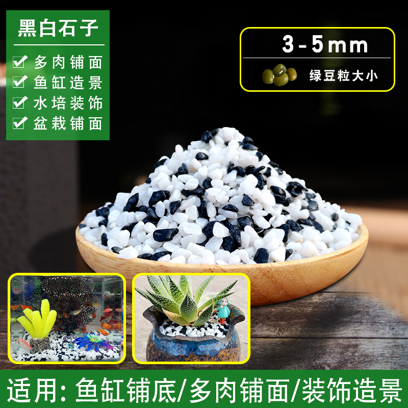 天然雨花石e七彩小石子五彩石鹅卵石多肉花盆栽铺面石鱼缸造景石