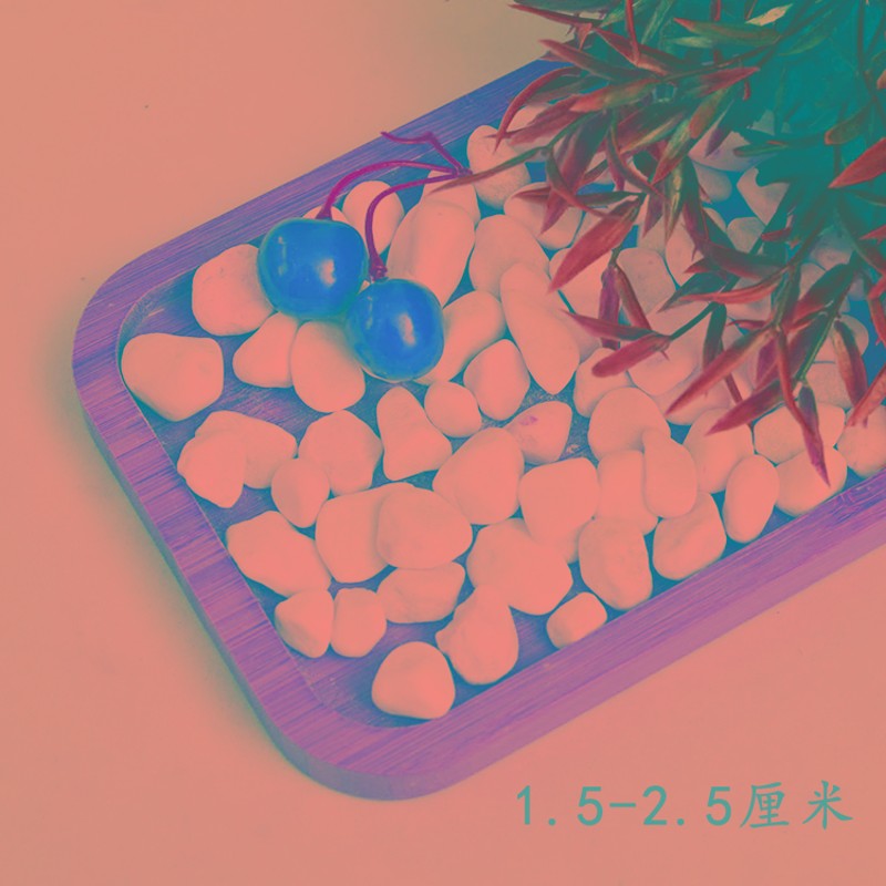 天然白石子小白玉石m五彩石鹅卵石雨花石多肉石头铺面水培鱼缸铺