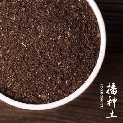 多肉盆栽装饰园艺小石头花迷x石雨花石彩色亚克力玻璃塑料透明石