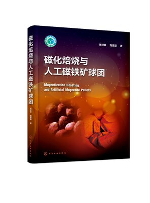 正版现货 磁化焙烧与人工磁铁矿球团 张汉泉、路漫漫  著 1化学工业出版社