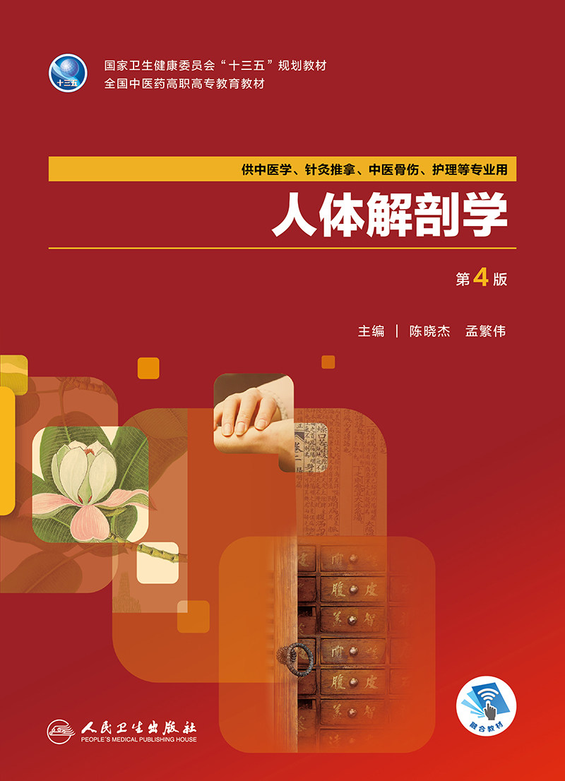 正版现货 人体解剖学 第4版四 十三五规划教材 中医药高职高专教育