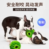 Собачья вокализованный игрушечный мяч.