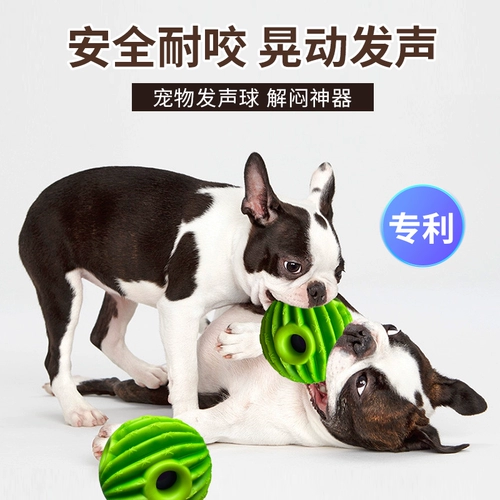 Собачья вокализованный игрушечный мяч.
