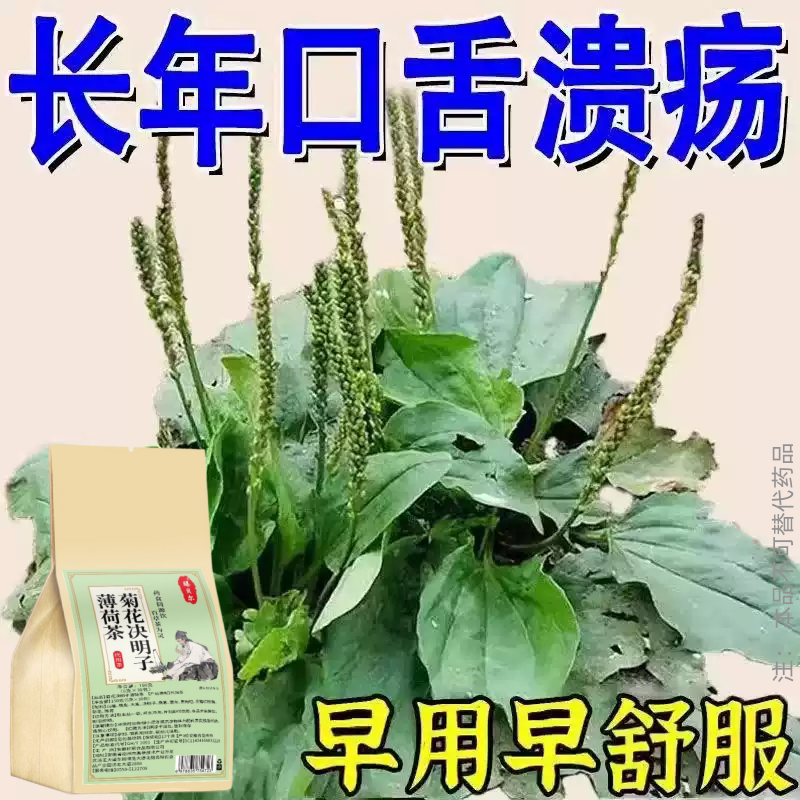 长期火气大口舌生疮牙龈肿痛上火起泡嘴唇溃烂经常上火决明子薄荷