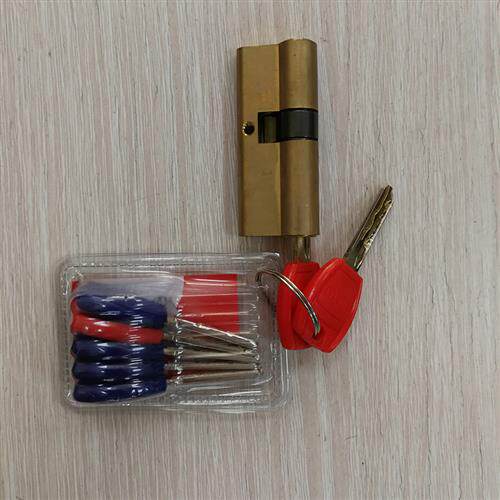 定制电解板钢质门锌合金房门室内门钢板门套装门房间门工程门