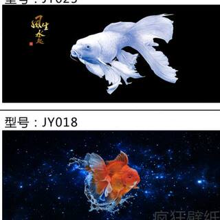 鱼缸背景纸画高清图3d立体鱼缸壁纸背景画风生水族箱装饰鱼缸贴纸