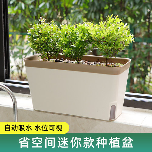 PP塑料简约自吸水花盆种植无忧