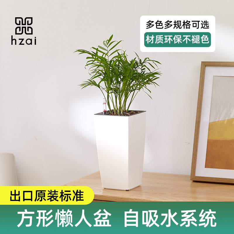 pp树脂简约轻奢小号自动吸水花盆图片