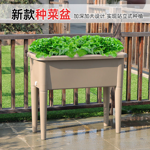 站立田园塑料家庭种植盆