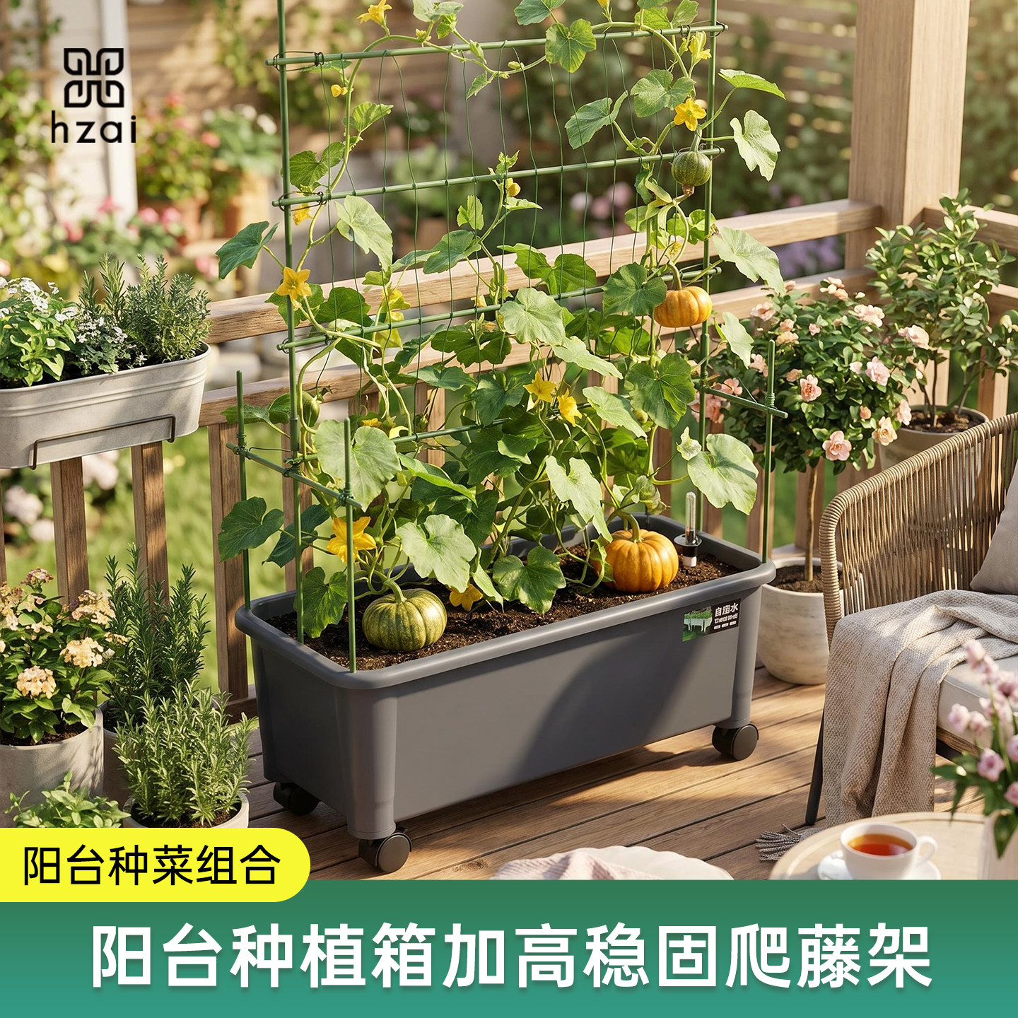 可移动阳台庭院种菜盆搭配爬藤架