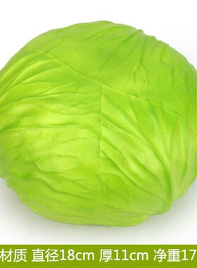 仿真包菜高仿PU圆白菜假包心青菜甘蓝模型摄影视道具早教橱柜展示