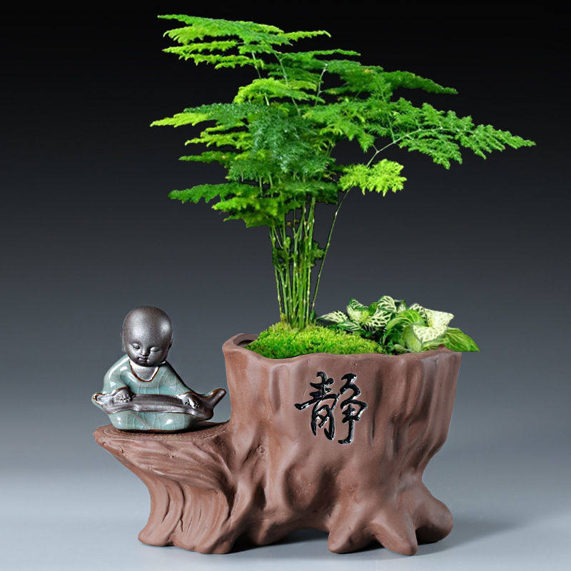 紫砂花盆创意盆栽仿古室内桌面文竹蝴蝶兰个性绿植小和尚组合