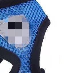 狗绳亚马逊爆款透气纱网胸背带牵引绳中小型犬泰迪外出遛狗狗,宠物/宠物食品及用品,猫牵引绳,淘宝优惠券,粉丝福利购,淘宝优惠卷