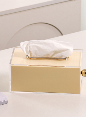 XEMO亚克力纸巾盒家用轻奢北欧简约茶几抽纸盒收纳盒抽取式