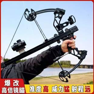 弹弓秃鹰高精度射箭钢珠户外运动双弓斑鸠王子新款毒蛇40连复合弓