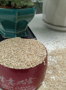 5斤装生的白芝麻散称带皮免洗家用商用5袋装生白芝麻专用2500g