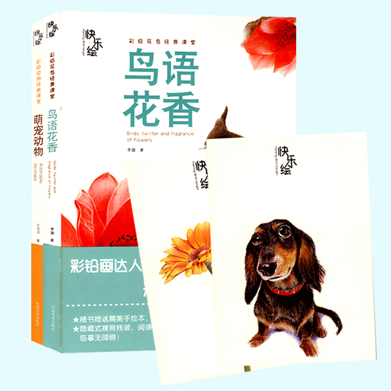 快乐绘彩铅花鸟经典课堂青少年彩色铅笔画零基础入门教程书彩铅花鸟动物图彩铅画线花卉鸟动物类动物经典课堂铅笔手绘动物