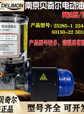 新款南京贝奇尔电动油脂泵25285/22449/25218/25290/53800/64包邮