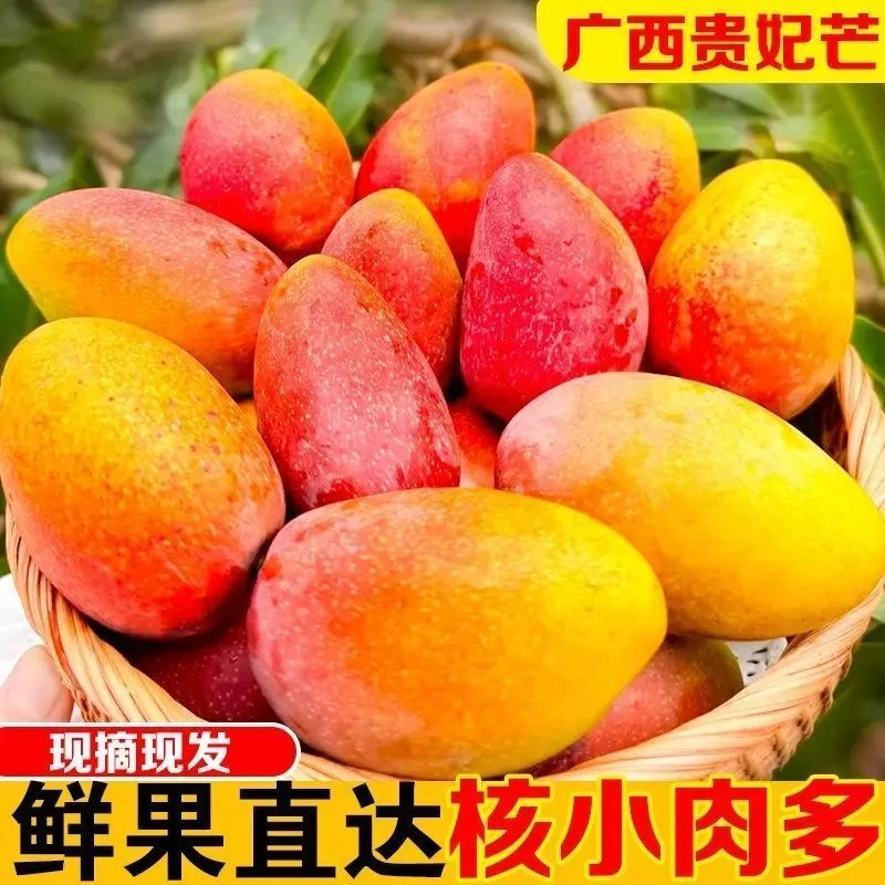 广西贵妃芒果  现摘现发  核薄肉厚  应季水果HZ