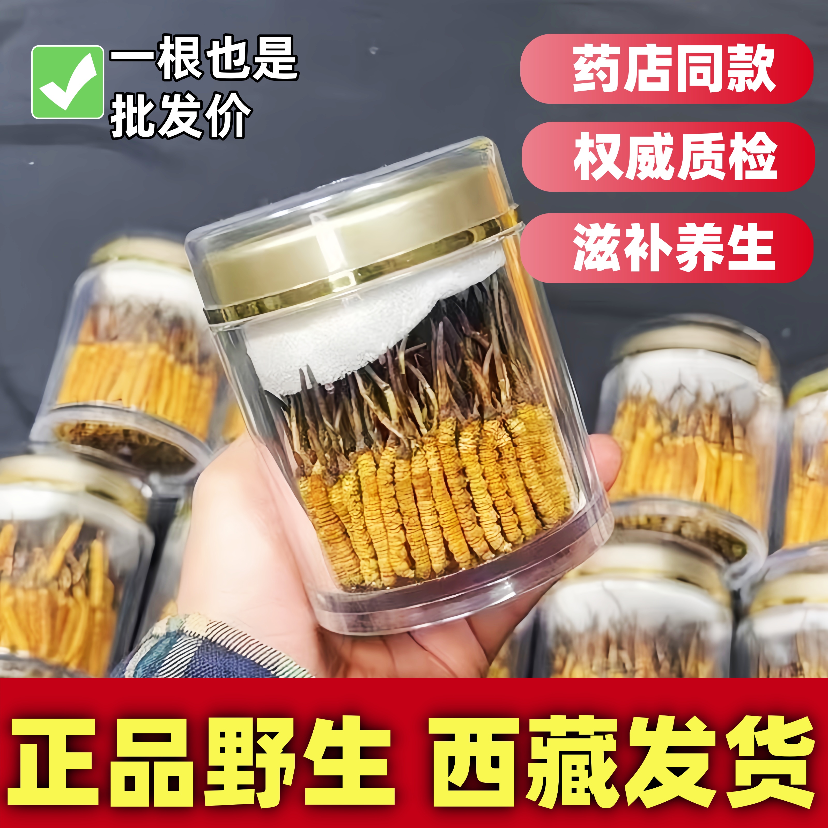 野生冬虫夏草正宗高原直销非西藏那曲高品质整根无断草当季新鲜