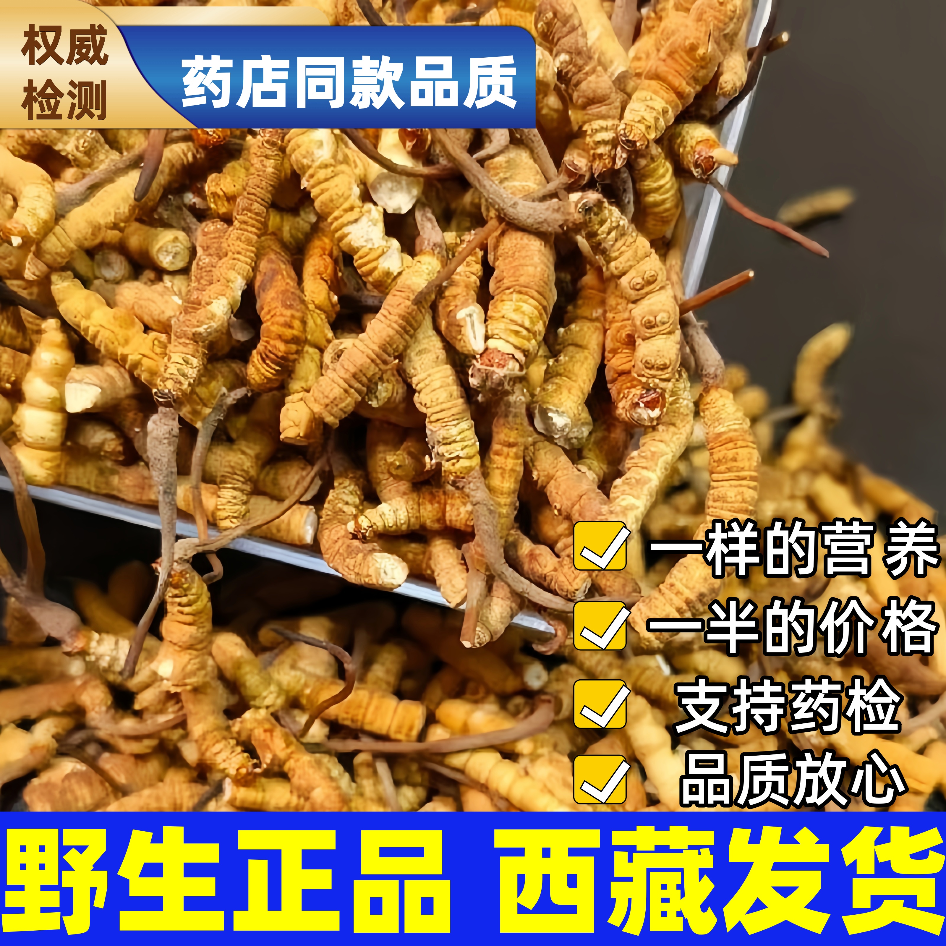 野生冬虫夏草断虫草正品正宗藏区高原干货滋补养生自用非西藏那曲