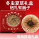 非西藏那曲送礼头期干货 冬虫夏草正品 送礼佳品 大根虫草礼盒装