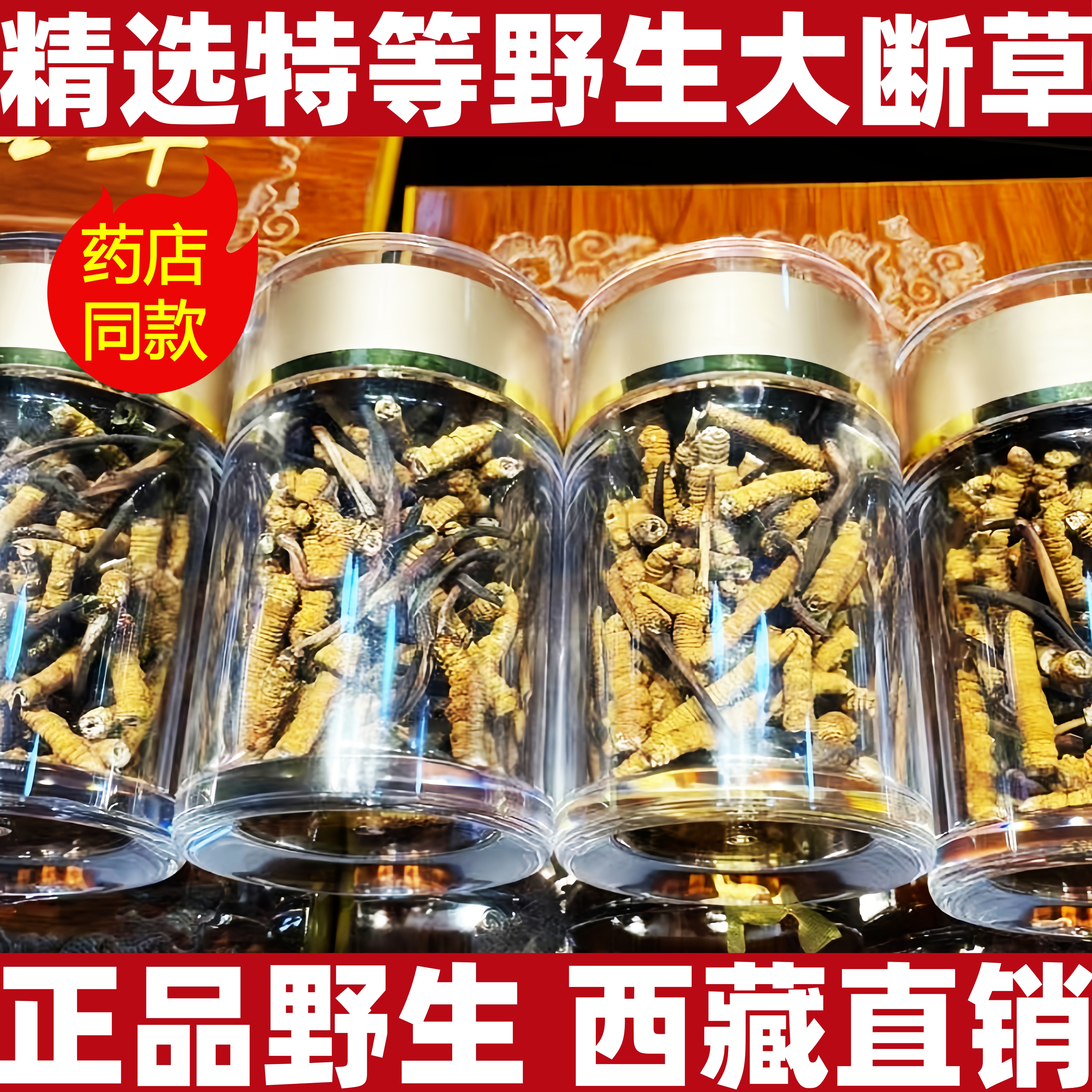 断草正宗冬虫夏草虫草野生高海拔青海冬虫夏草特大断草非西藏那曲