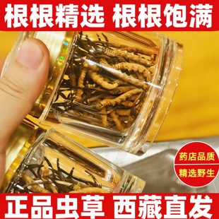 新鲜冬虫夏草官方旗舰店非西藏那曲野生虫草正品干货10克礼高端装