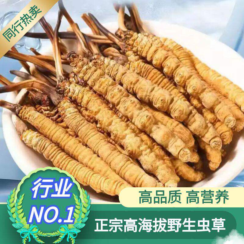 野生冬虫夏草正品虫草头期干货高海拔冬虫草王非西藏那曲礼盒特产